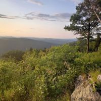 Pinnacle Trail Hut ico