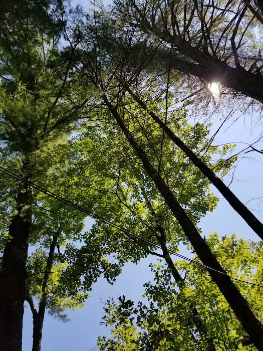 Laurel Lake Campgrounds Picture 9