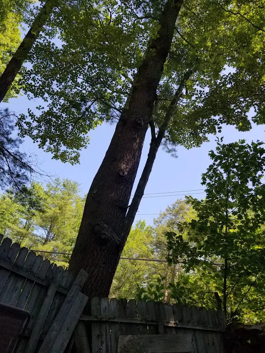 Laurel Lake Campgrounds Picture 7