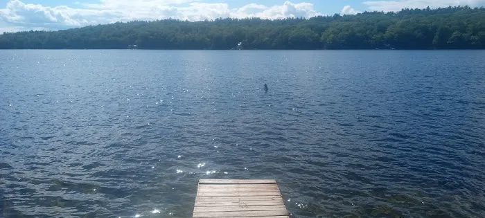 Laurel Lake Campgrounds Picture 4