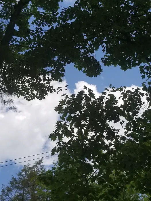 Laurel Lake Campgrounds Picture 6