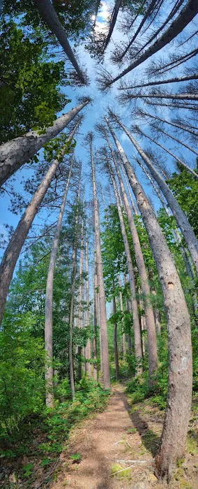 Otter River Campground Picture 4