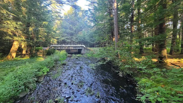 Otter River Campground Picture 6