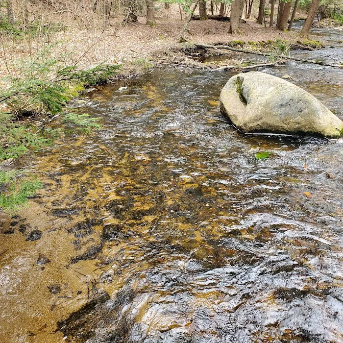 Otter River Campground Picture 3