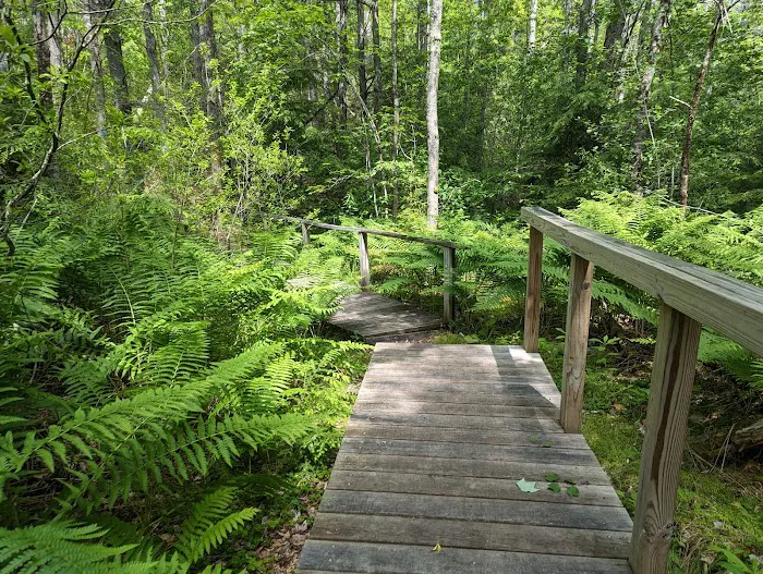 Otter River Campground Picture 8