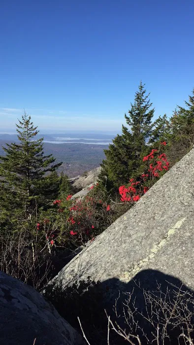 Hunter's State Line Campground-Variety Picture 2
