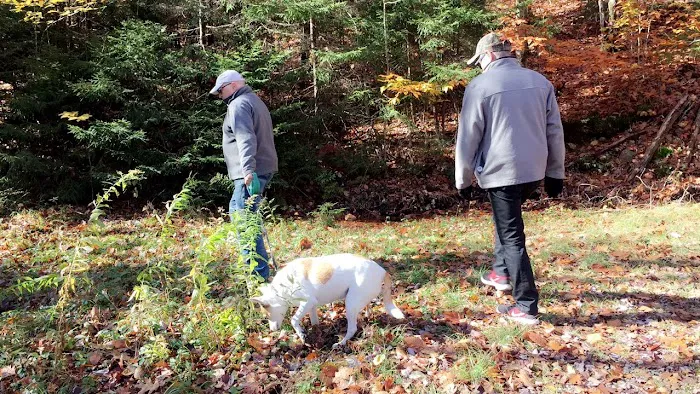 Hunter's State Line Campground-Variety Picture 9