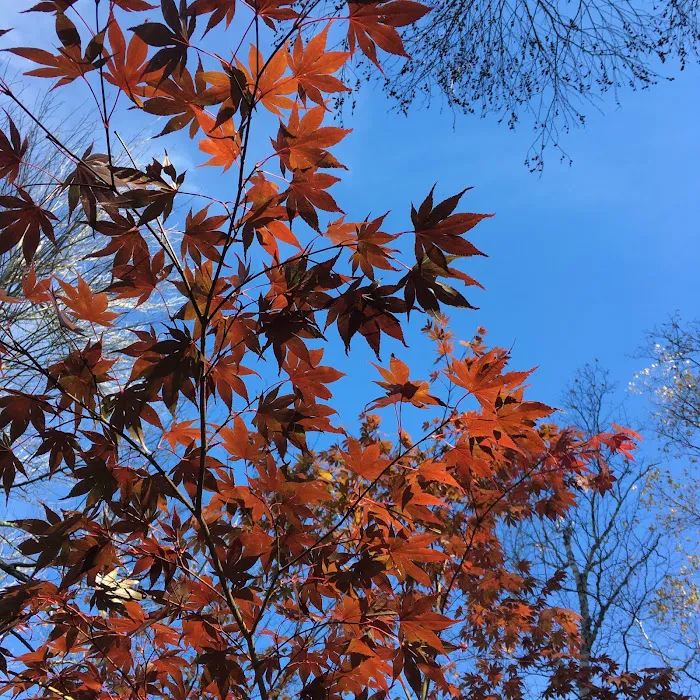 Hunter's State Line Campground-Variety Picture 10