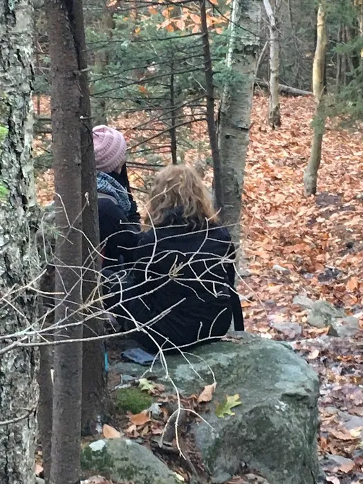 Hunter's State Line Campground-Variety Picture 7