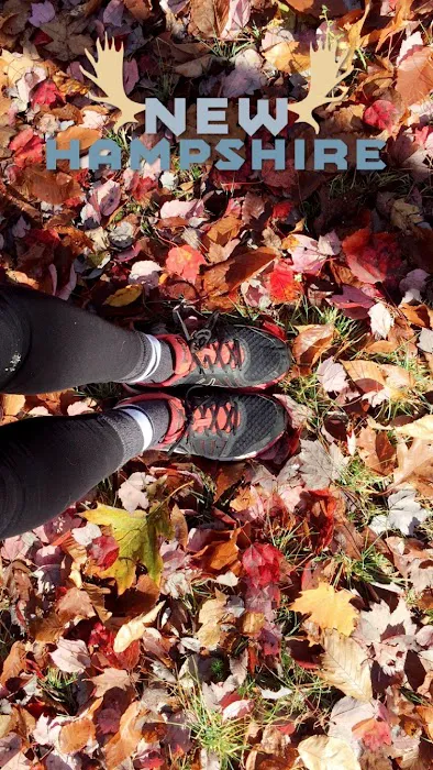 Hunter's State Line Campground-Variety Picture 5