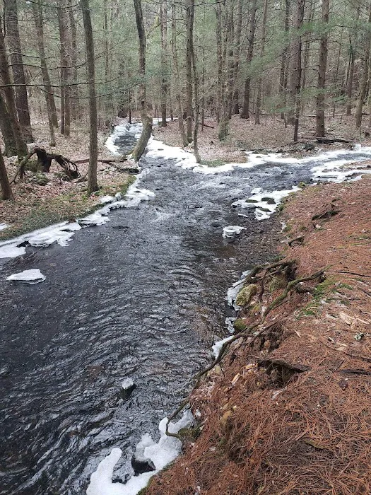 Peaceful Acres Campground Picture 6