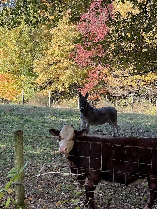 Peaceful Acres Campground Picture 2