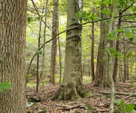 Peaceful Acres Campground