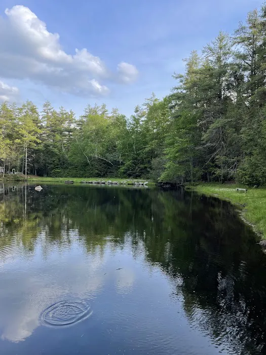 Peaceful Acres Campground Picture 4