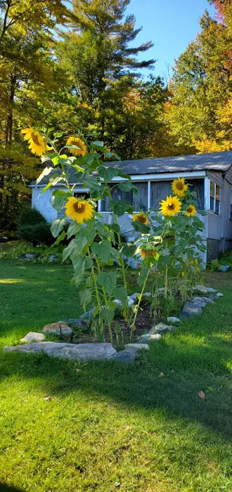 Camp Galvin Picture 4