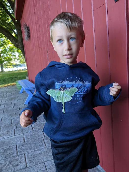 Amos Lake Beach Club & Campground Picture 2