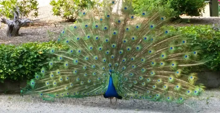 Hidden Acres Family Campground Picture 7