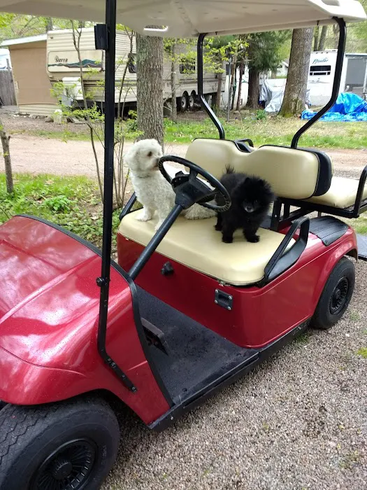 Holly Tree Camper Park Picture 6