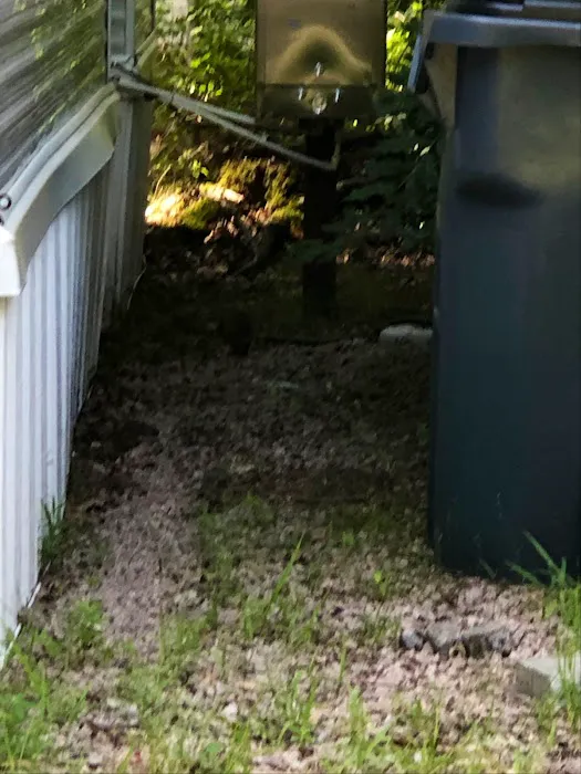 Holly Tree Camper Park Picture 5