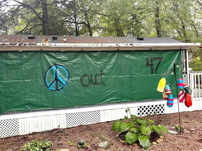 Holly Tree Camper Park Picture 7