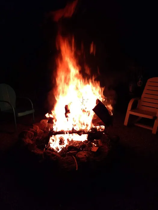 Holly Tree Camper Park Picture 8