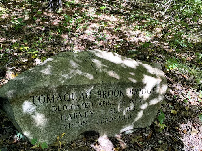 Holly Tree Camper Park Picture 9