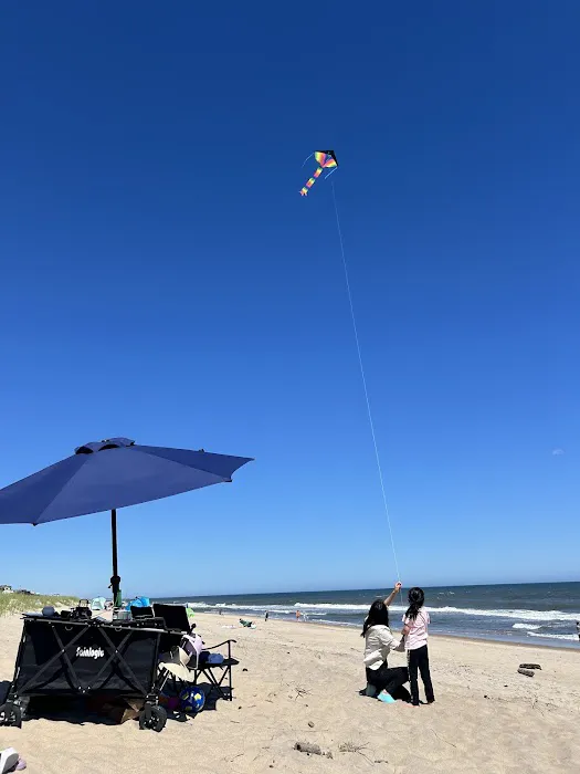 Hither Hills State Park Campground Picture 2