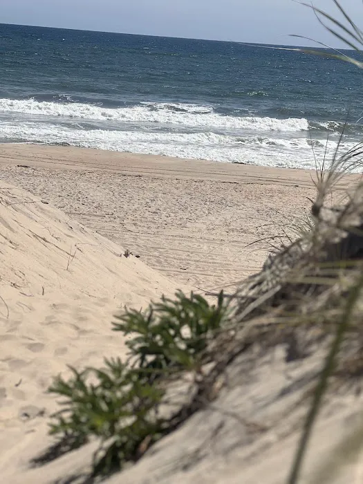 Hither Hills State Park Campground Picture 8