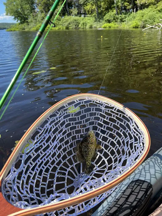 Moffitt Beach State Campground Picture 6