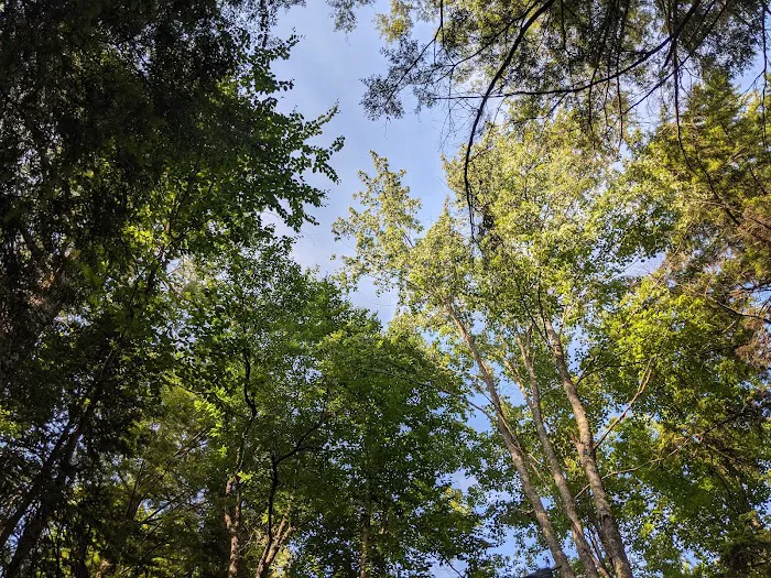 Moffitt Beach State Campground Picture 8