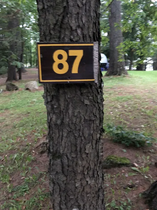 Moffitt Beach State Campground Picture 4