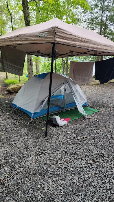 Moffit Beach Campground Picture 10