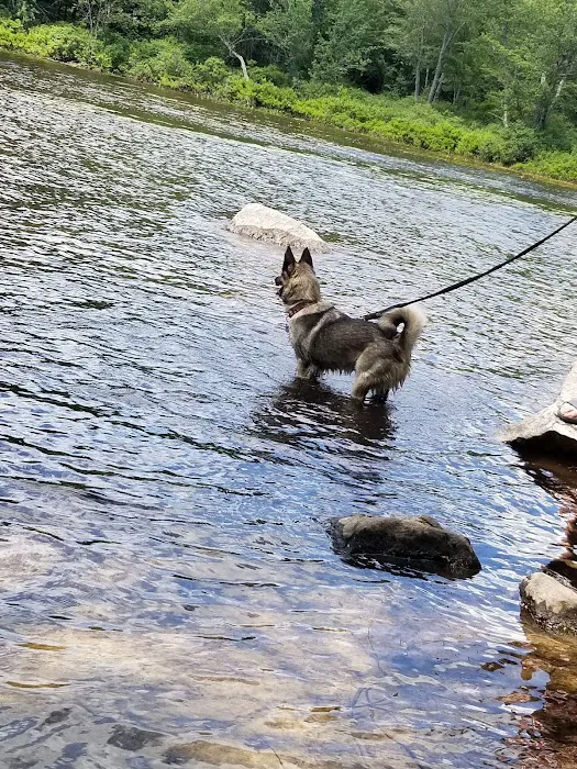 Moffit Beach Campground Picture 7