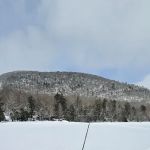 Poplar Point Day Use Area