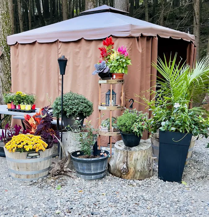 Mountain Air Campground Picture 7