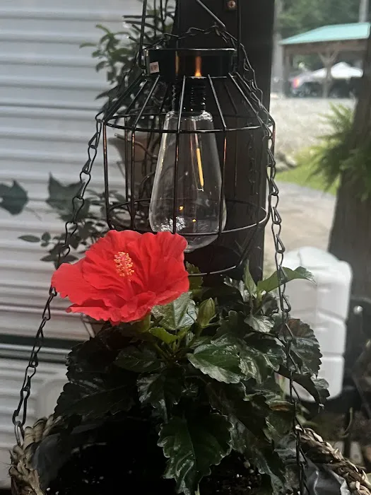 Mountain Air Campground Picture 2