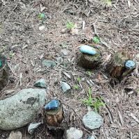 Mountain Air Campground ico