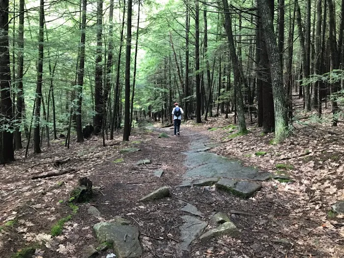 Bear Slide Picture 8