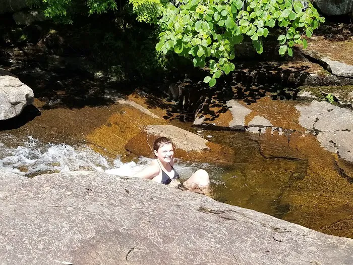 Bear Slide Picture 1