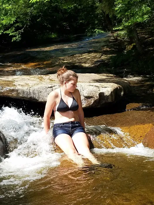 Bear Slide Picture 3