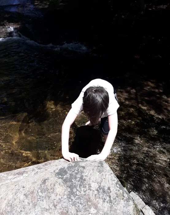 Bear Slide Picture 7