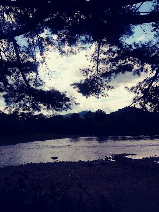 Bear Slide Picture 4