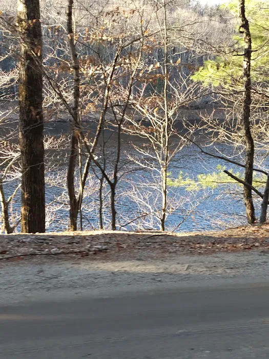 Bear Slide Picture 9