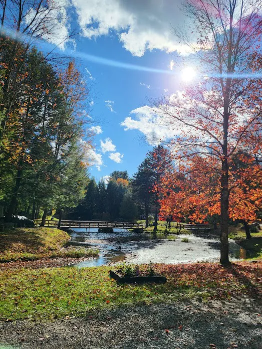 Cold Brook Campsites Picture 7