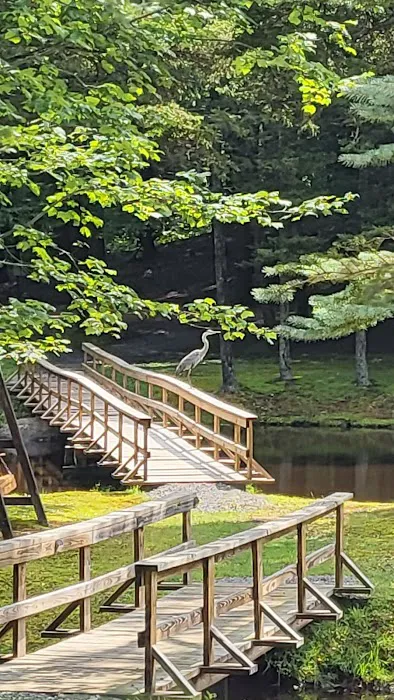 Cold Brook Campsites Picture 6