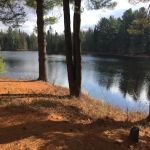 Moose River Park LLC