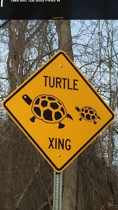 Moose River Park LLC Picture 4