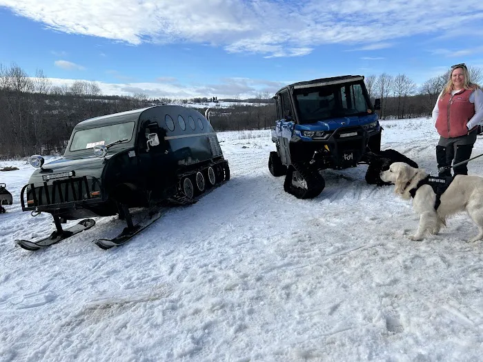 Top Of The Hill Cabins Picture 2