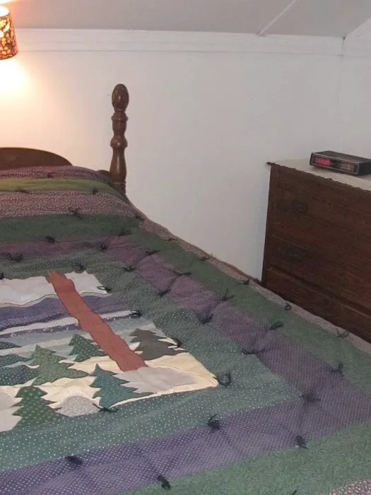 Brantingham Lake House Picture 4