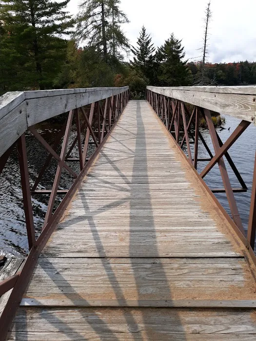 Nicks Lake Campground Picture 7